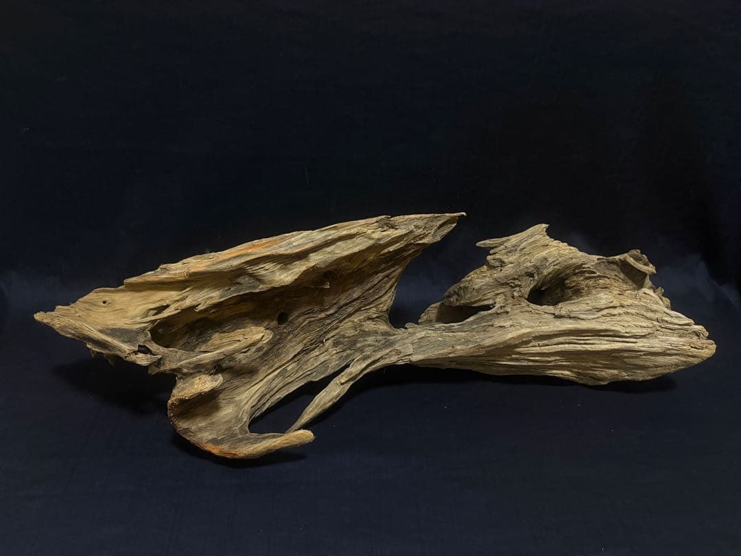 Ｇ88 爬虫類、両生類、シェルター、アクアテラリウム、インテリア、DIY