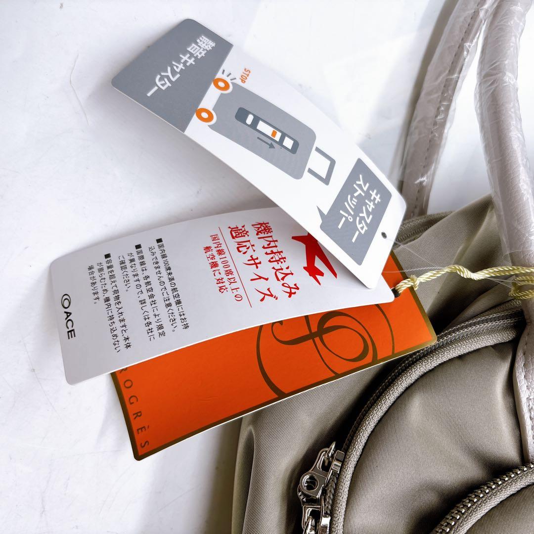 PROGRES サージュTR 68381 キャリーケース 機内持込