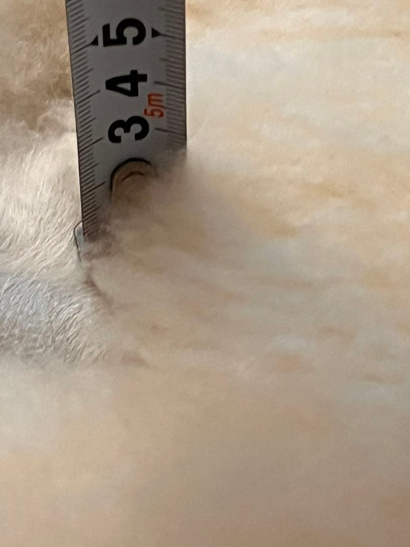 ムートンラグ　シープスキン　ムートン　ムートンマット　二匹物　二枚セット　2匹物