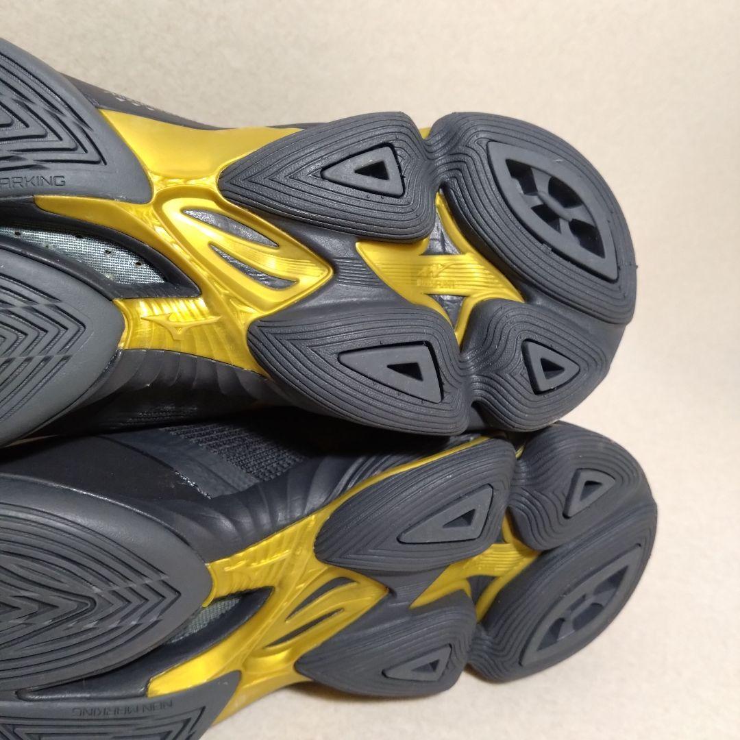 ミズノ バレーボールシューズ ウエーブライトニング NEO 2 29.5cm