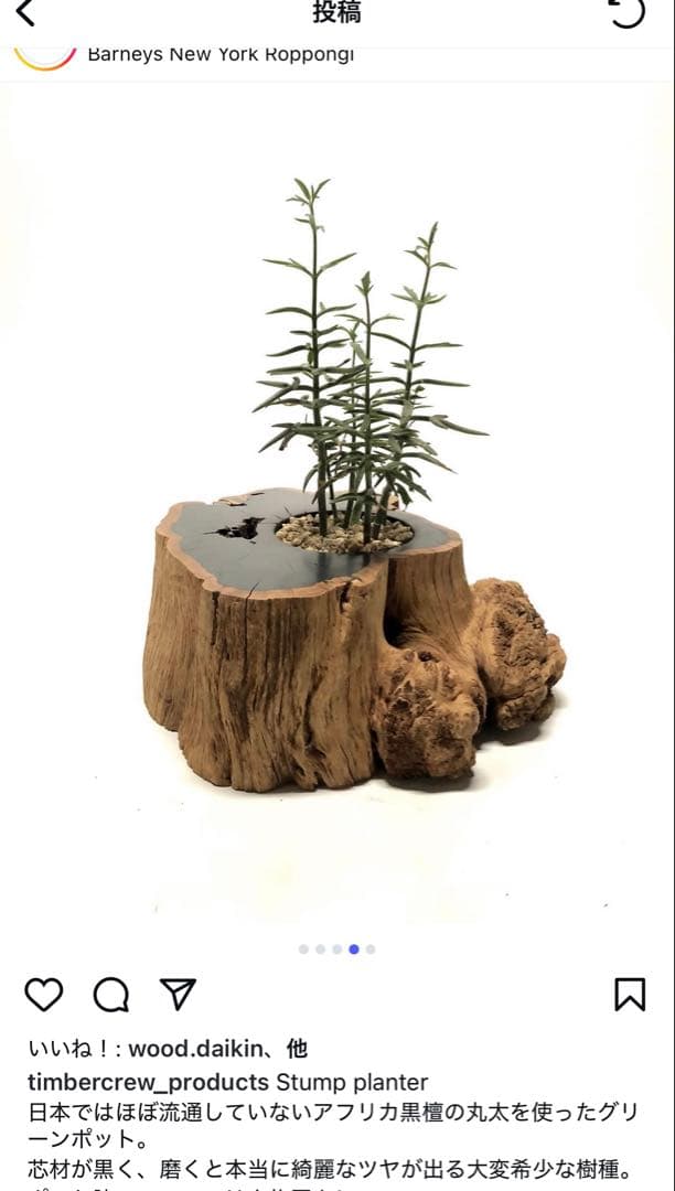 timber crew STAMP PLANTER 黒檀
