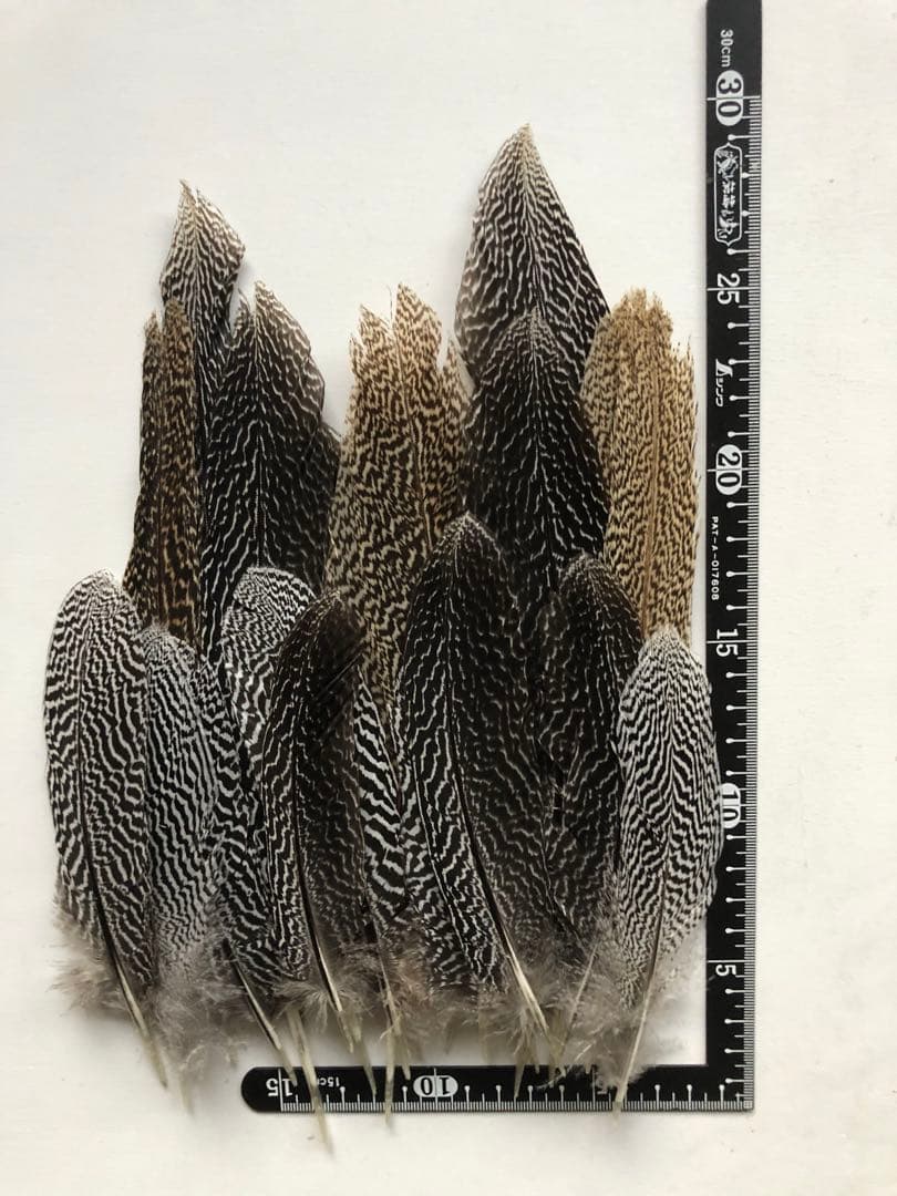 ★ABC陵央商品★80枚★消毒済★