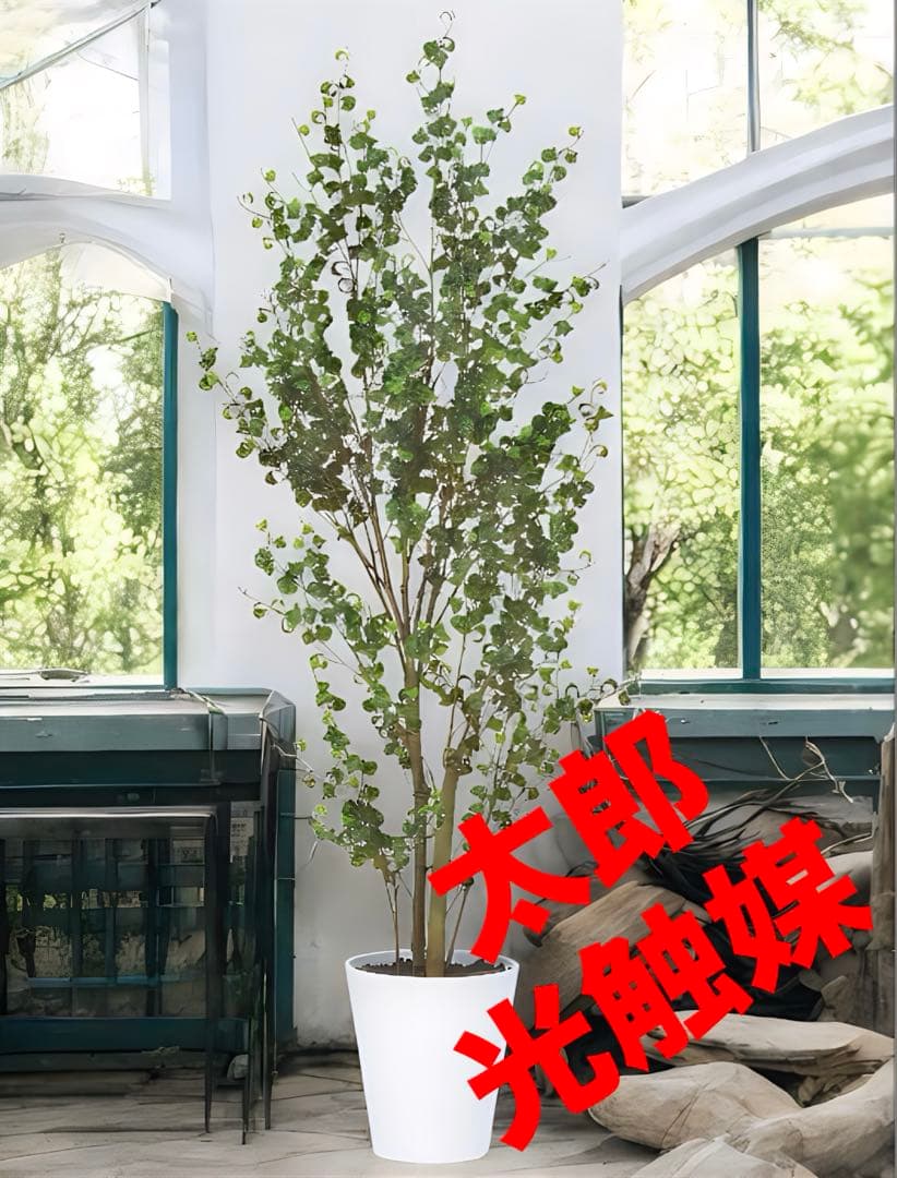 光触媒　人工観葉植物　フェイクグリーン　東北ベンジャミンバロック150