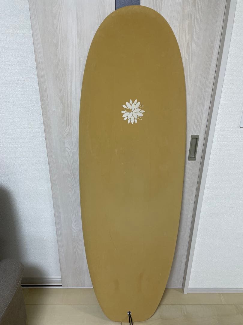 Beach Access サーフボード 5'4\