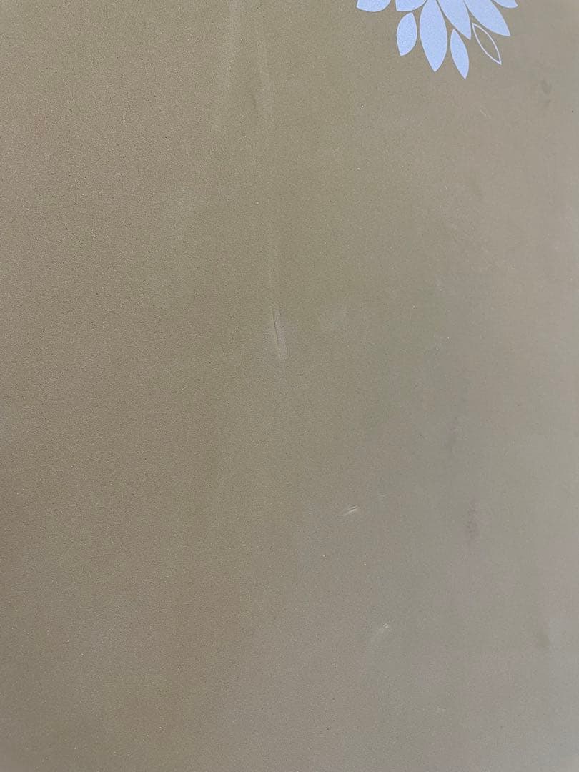 Beach Access サーフボード 5'4\"