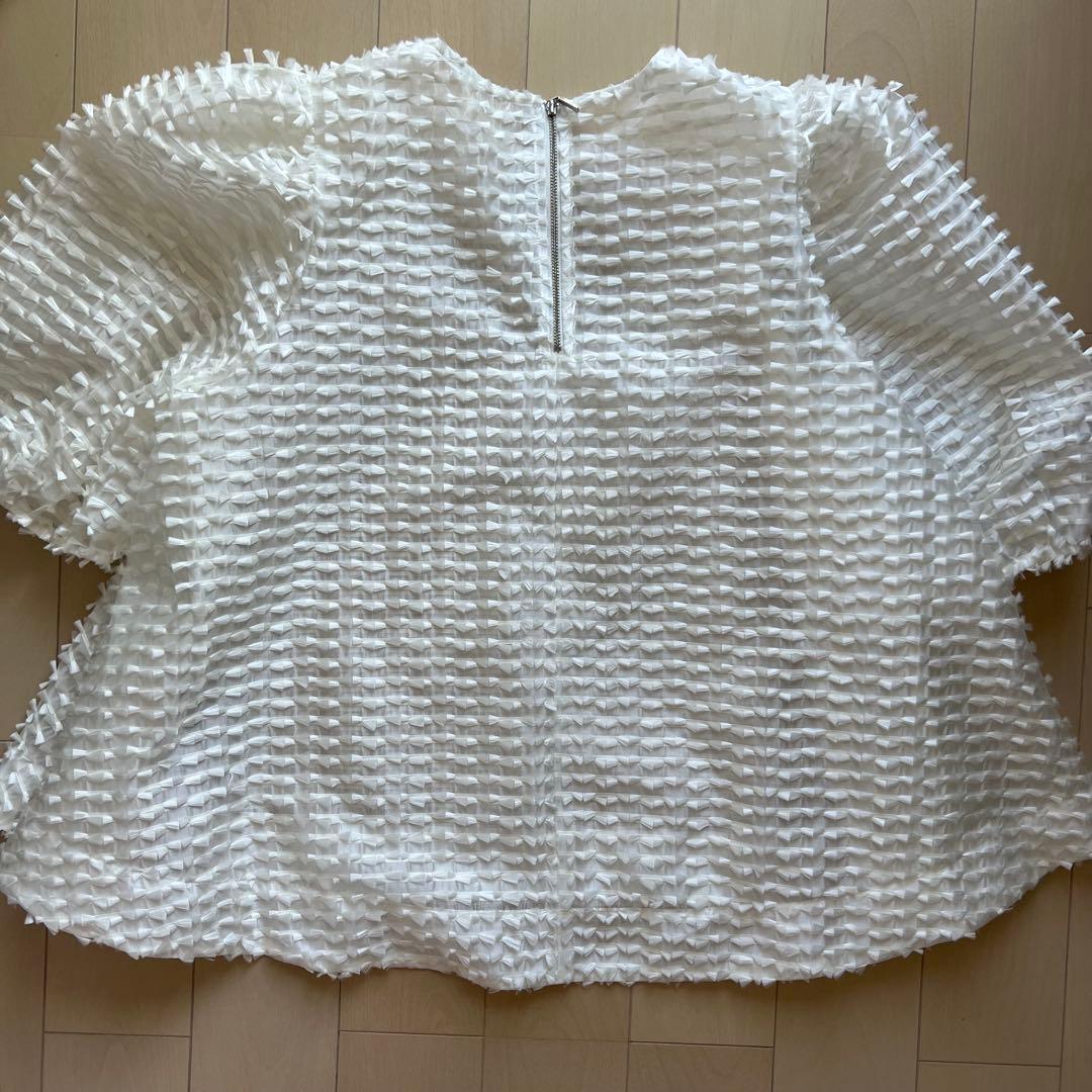 Gypsohila トップス