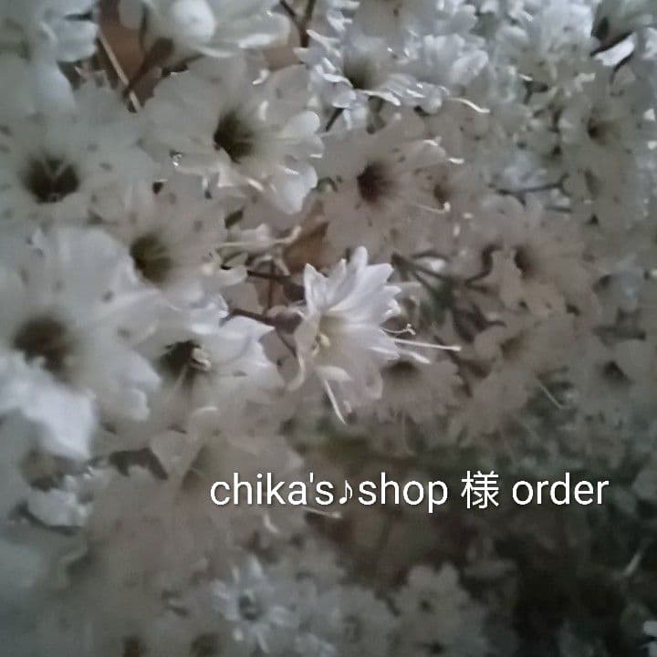 chika's♪shop様 【 order 】ドライフラワー リース