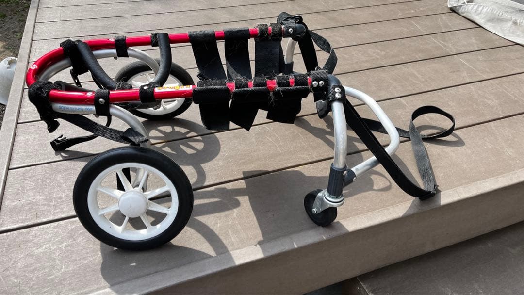 犬用車いす 赤/銀 調整可能