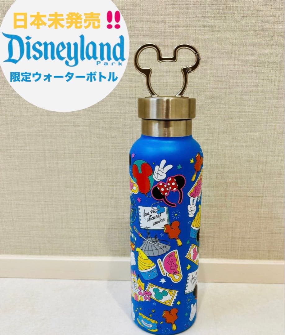 【新品未使用】カリフォルニアディズニー ステンレス製ウォーターボトル　日本未発売