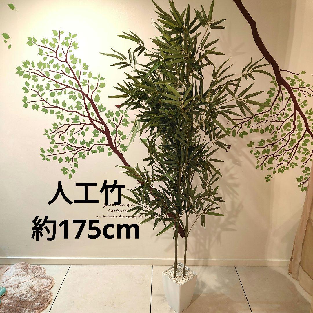 ★美品★人工竹 バンブー 約175cm 白鉢付き 観葉植物