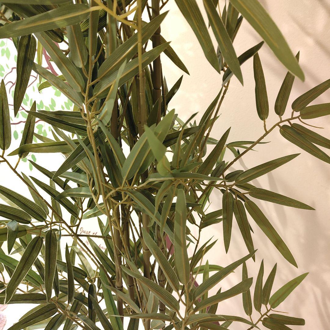 ★美品★人工竹 バンブー 約175cm 白鉢付き 観葉植物