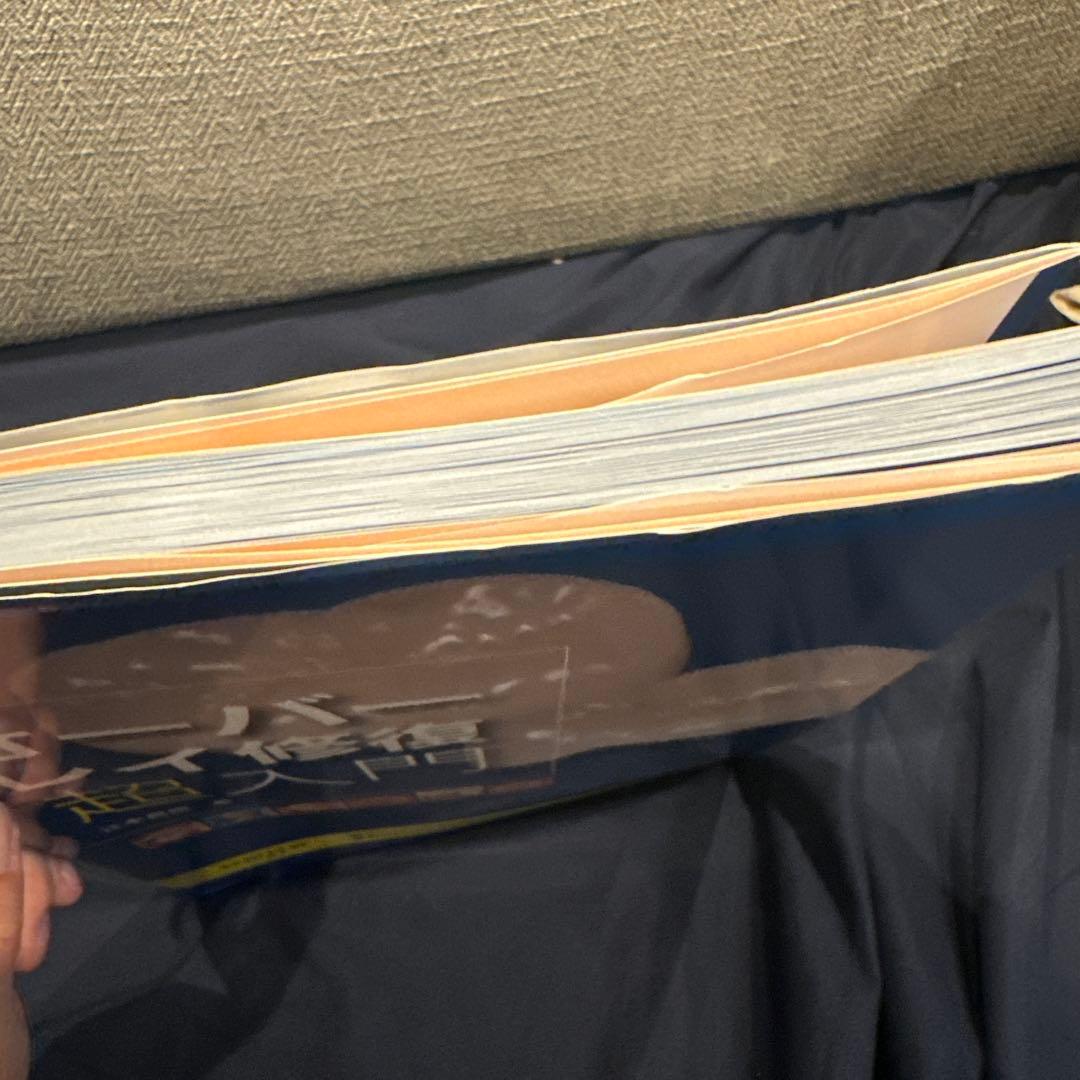 オーバーレイ修復 超入門