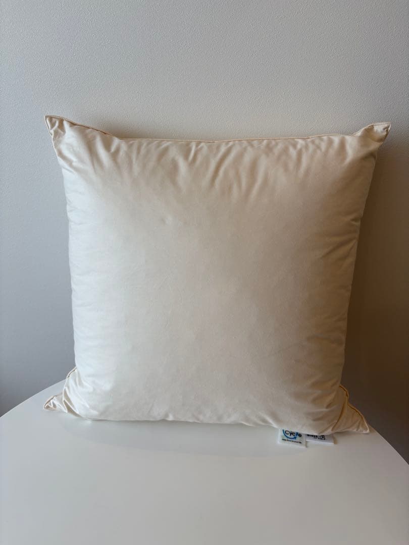 石井佳苗　natural basic クッション　CASICA