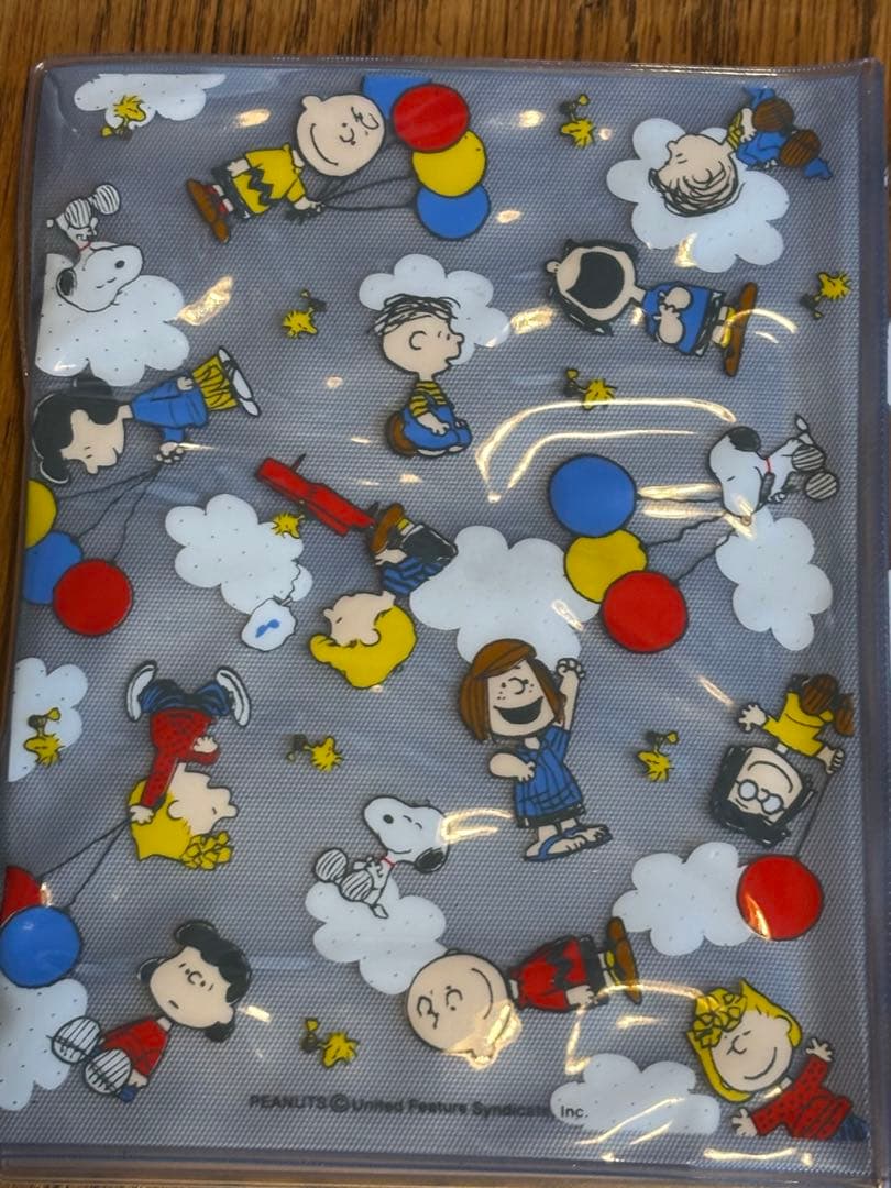 公*o様 【訳あり】スヌーピー 診察券ケース　6個セット