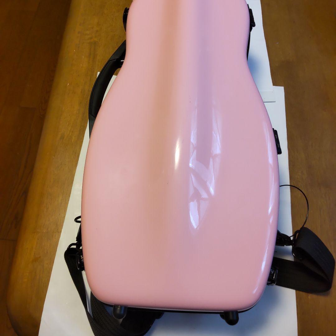 はなさん専用！バイオリン本体C.Giordanoカルロジョルダーノ木製手工芸品