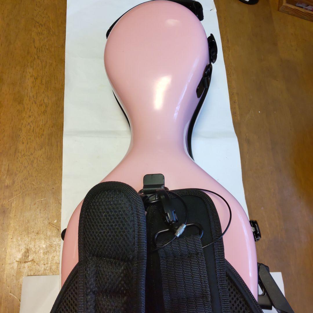 はなさん専用！バイオリン本体C.Giordanoカルロジョルダーノ木製手工芸品