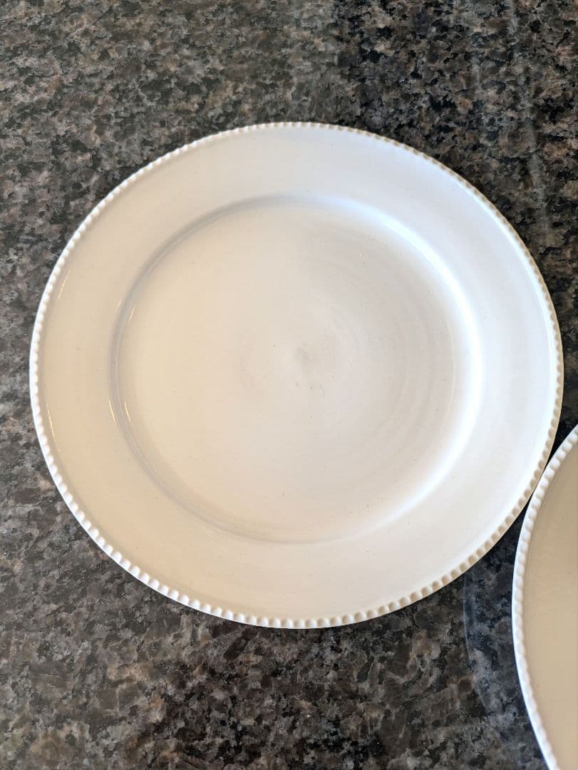 最終価格　*美品*　岡田直人　縁しのぎプレート　Мサイズ