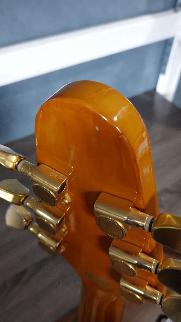 バークレイ　フライングV