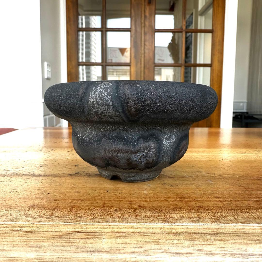 【激レア】　細川政己　鉢　浅鉢