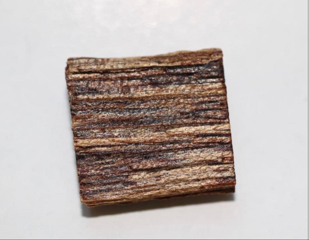 香木 古渡命銘木 「初音」約0. 49g 沈香 伽羅 奇南 奇楠 お香 香道