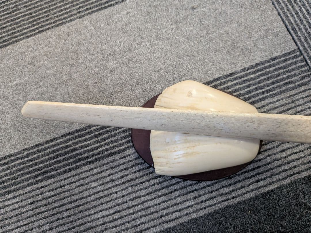 マッコウ鯨骨頭　木刀本物