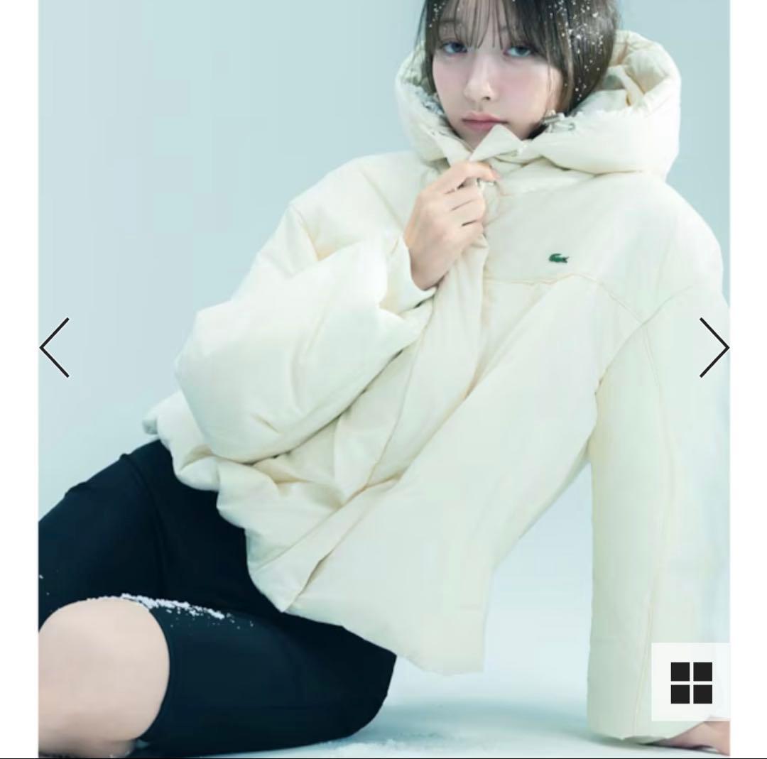 スナイデル　ダウン