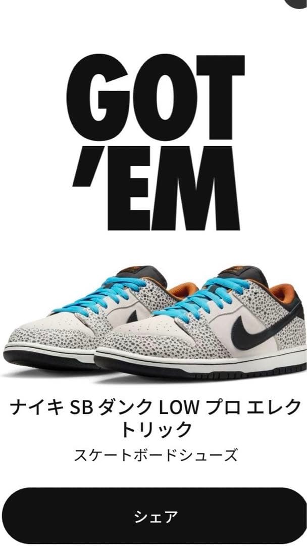 ブラックユウジ NIKE SB ダンク ロー プロ エレクトリック