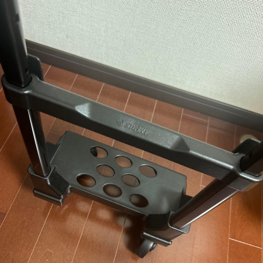 近沢レース　スワニー　SWANY コラボ　キャリー　バッグ　黒