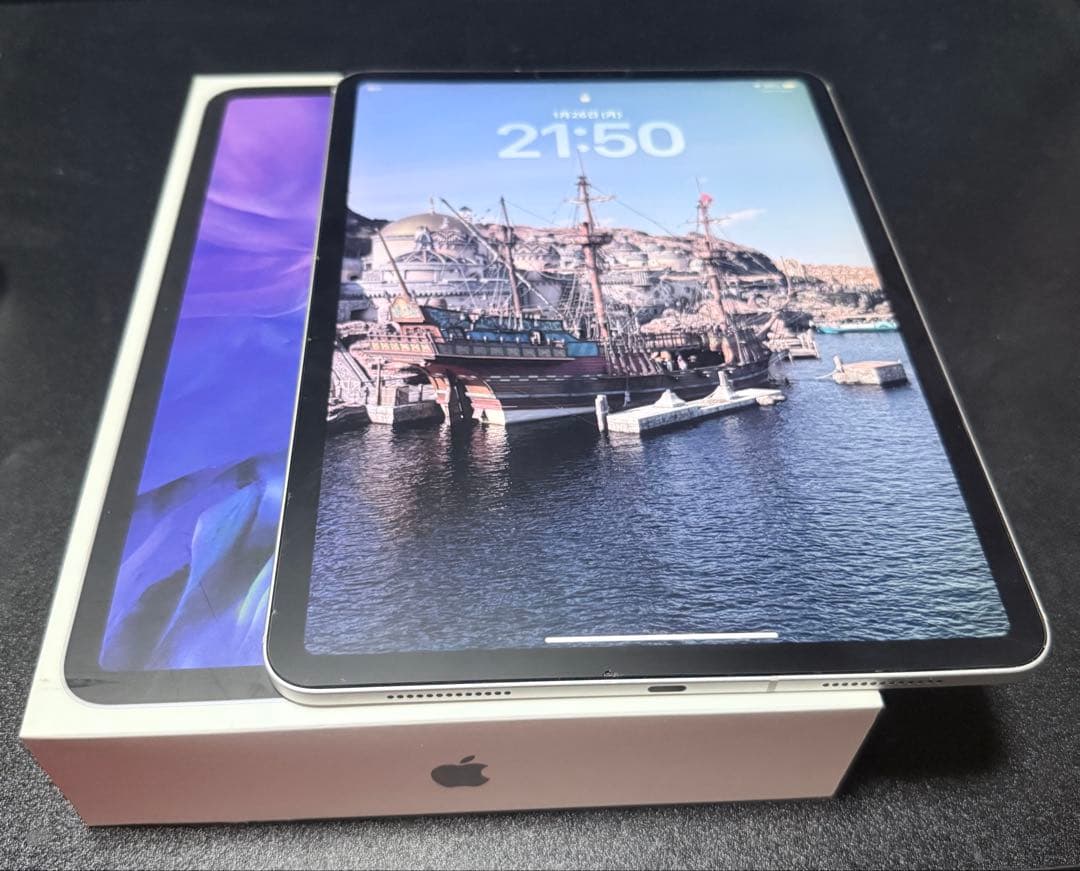 美品 iPad Pro 11インチ セルラーモデル 512GB 最大容量91%