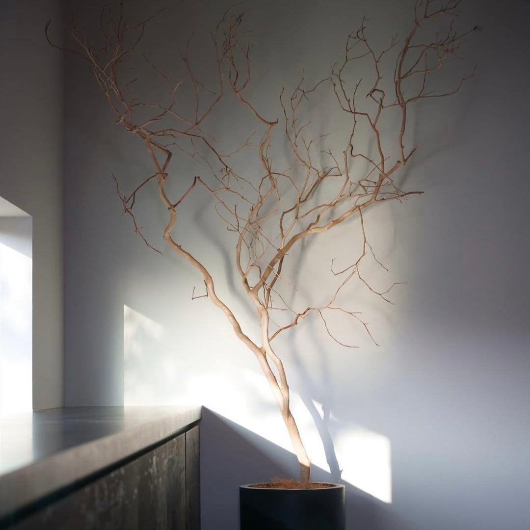 [専用出品]木材インテリア サルスベリ