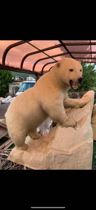 シロクマ　白熊　剥製