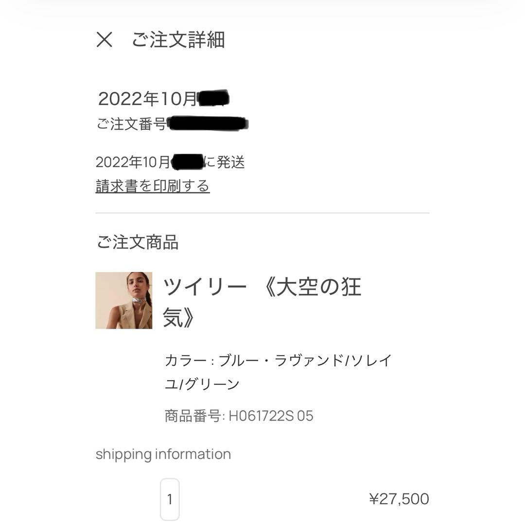 Hermès エルメス ツイリー 大空の狂気