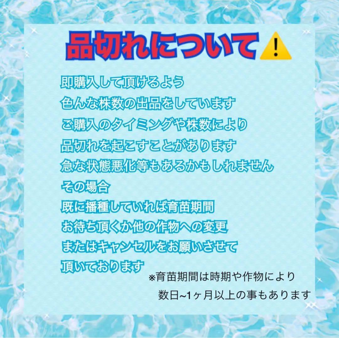 パープルタワー 育苗中農薬不使用 アスパラ