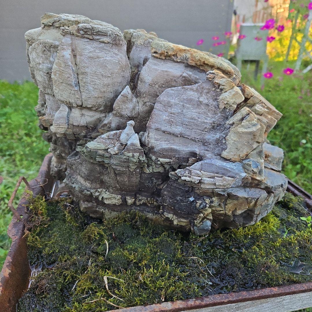 ポンピラ石