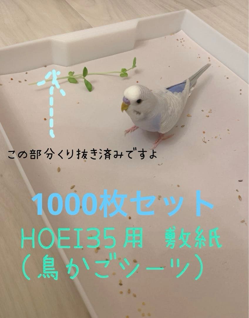 HOEI35用 敷紙（鳥かご用）
