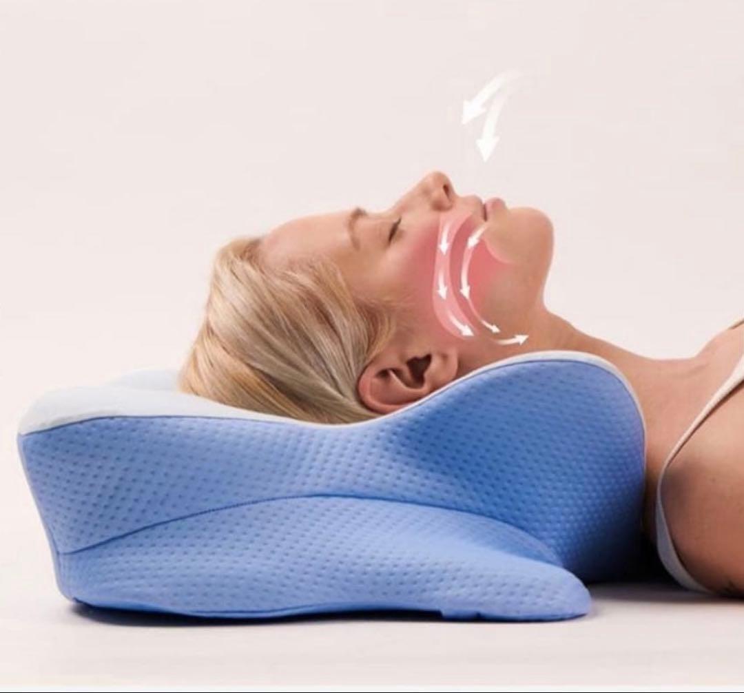 新品未開封Derila デリラ 低反発 メモリーフォーム 枕 快眠枕　枕カバー付