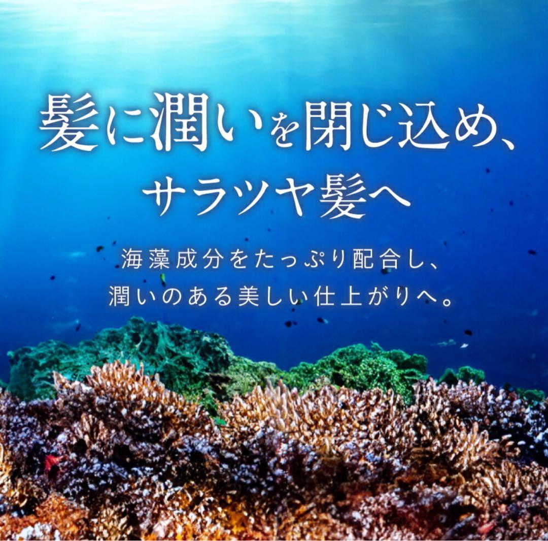お得な３本セット楽天1位白髪染めビーリスカラーリング泡タイプ 部分染めb.ris