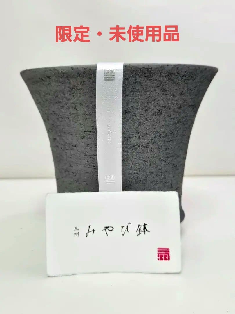 限定品 三州みやび鉢 trashモデル 鶴仙園 　パキプス 亀甲竜