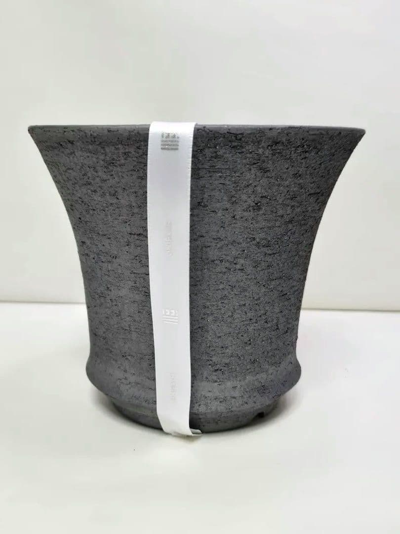 限定品 三州みやび鉢 trashモデル 鶴仙園 　パキプス 亀甲竜