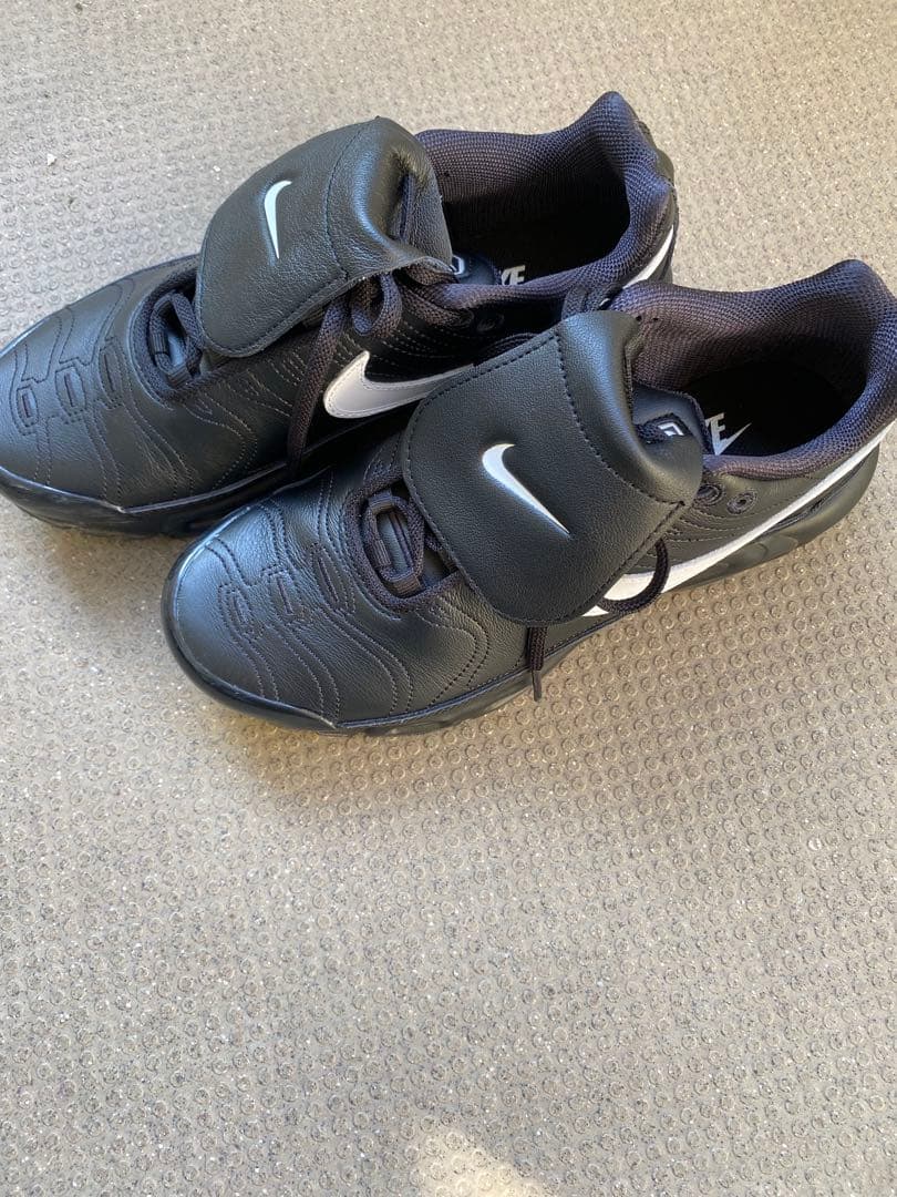 NIKE AIR MAX PLUS TNPO ティエンポ