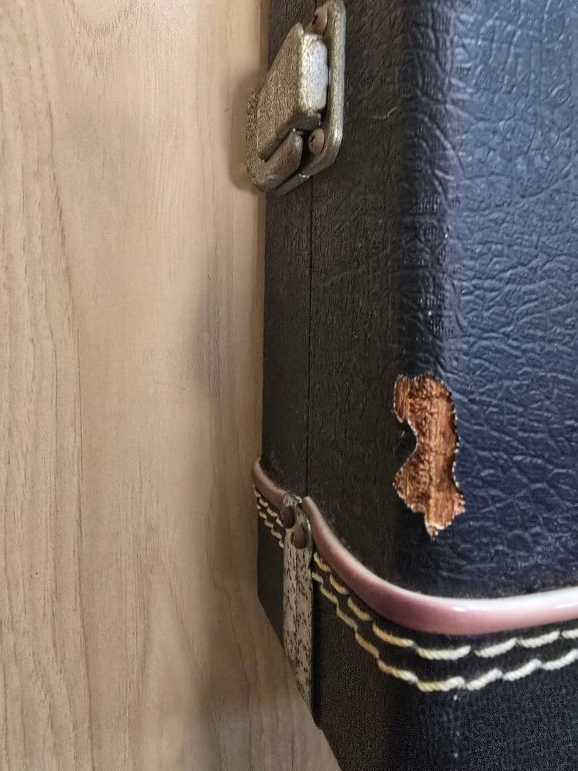 FERNANDES エレキギター グラデーションレッド