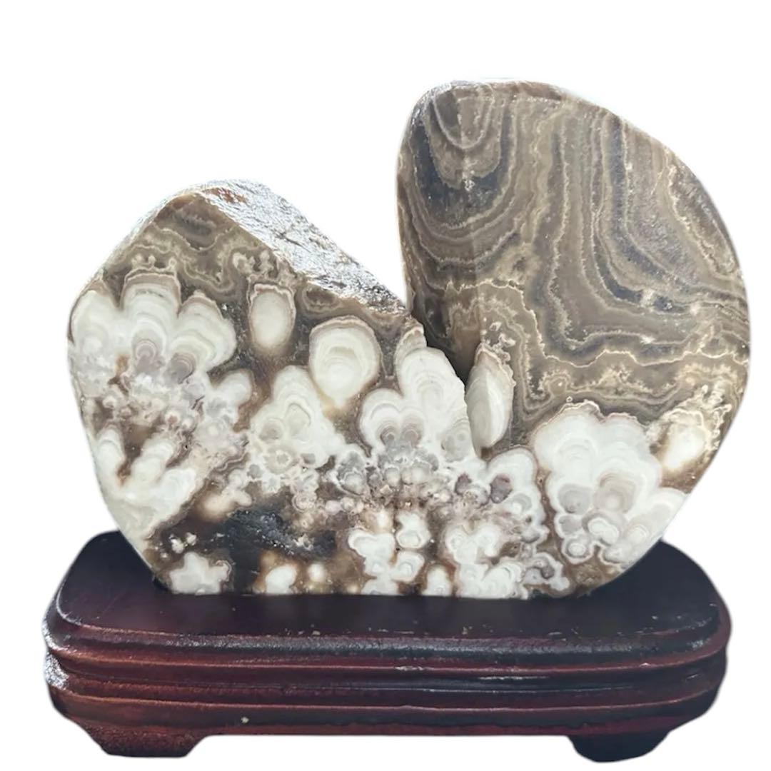 珪化木　木化石　パワーストーン　 天然石　重さ2kg弱　インテリア　観賞　置物