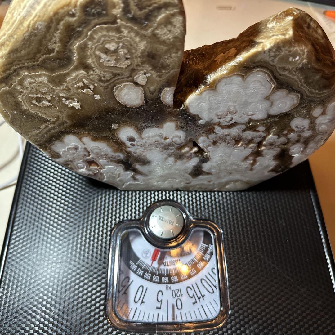 珪化木　木化石　パワーストーン　 天然石　重さ2kg弱　インテリア　観賞　置物