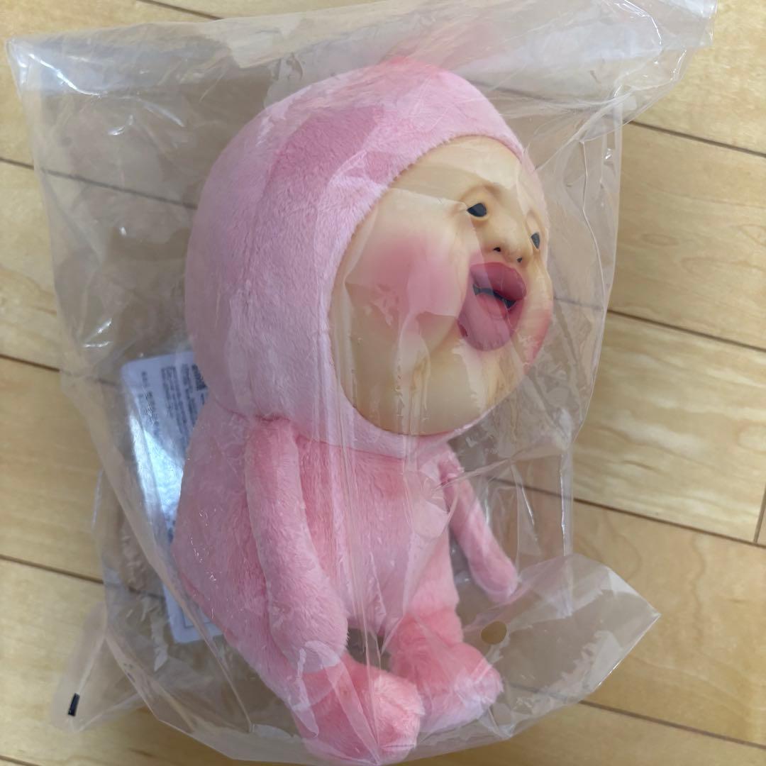 【未開封】一番くじこびとづかん　A賞カクレモモジリ