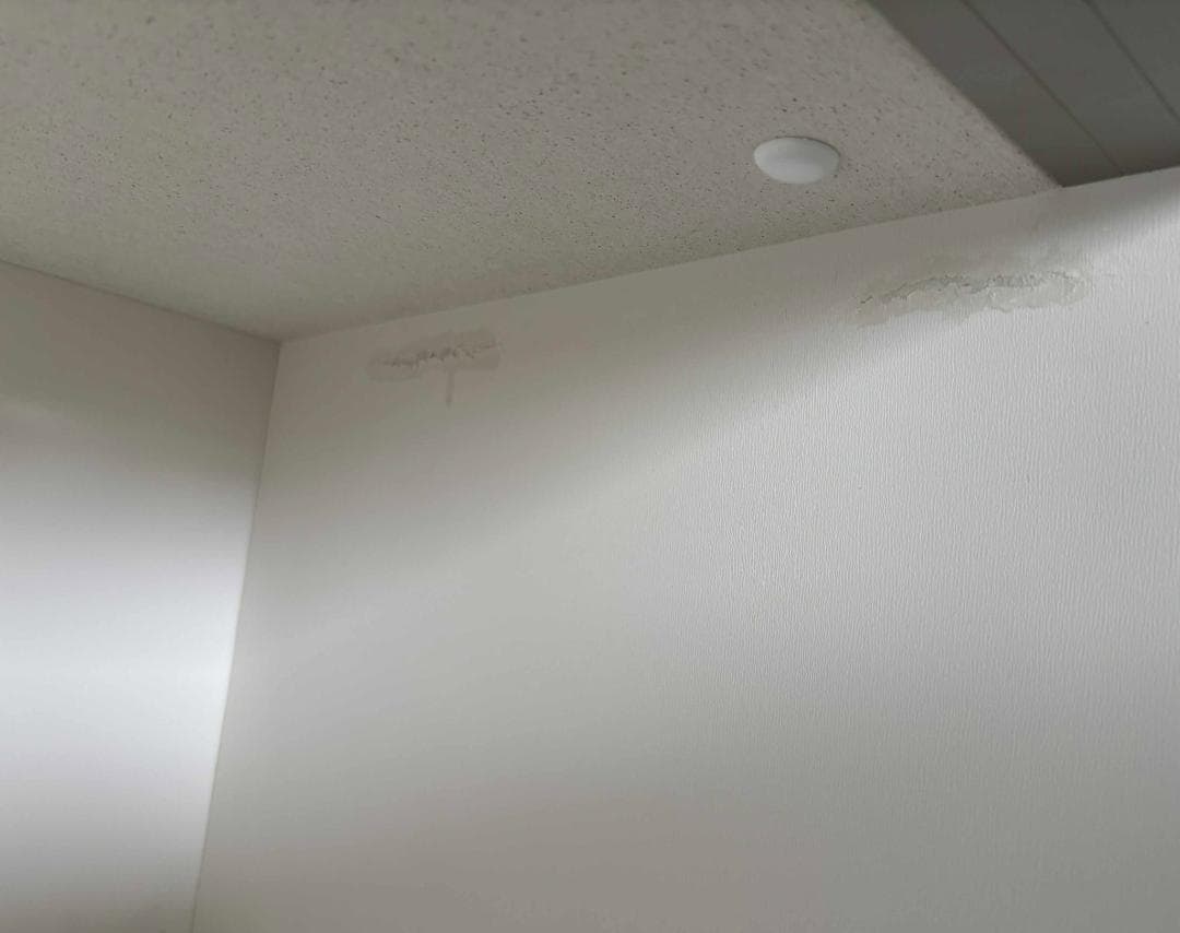 J♡8/10-15発送不可専用 NITORI LIGARE キッチンボード120