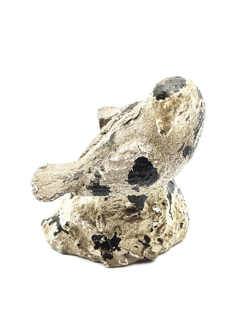 希少アンティーク鳥とお花オブジェのガラスドーム/パリアンティークショップ