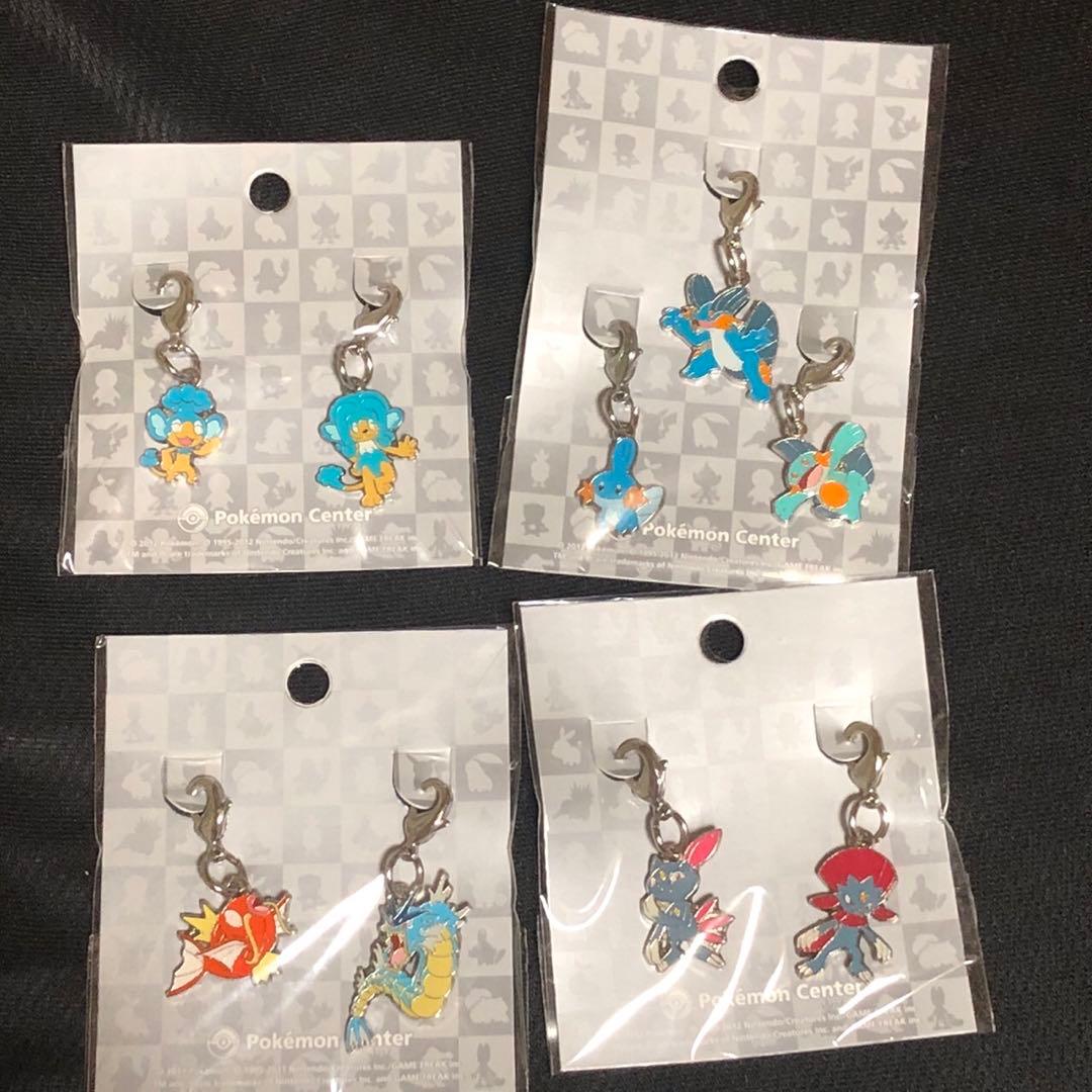 【バラ可能】ポケモン ぜんこくずかん メタルチャーム　まとめ売り