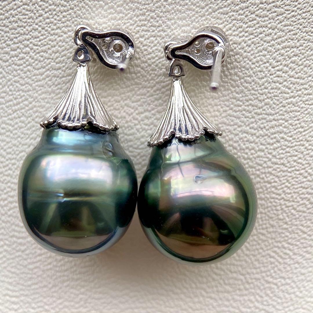 本真珠南洋黒蝶真珠グリーンブルー15×11.9㍉s925ピアスBL960