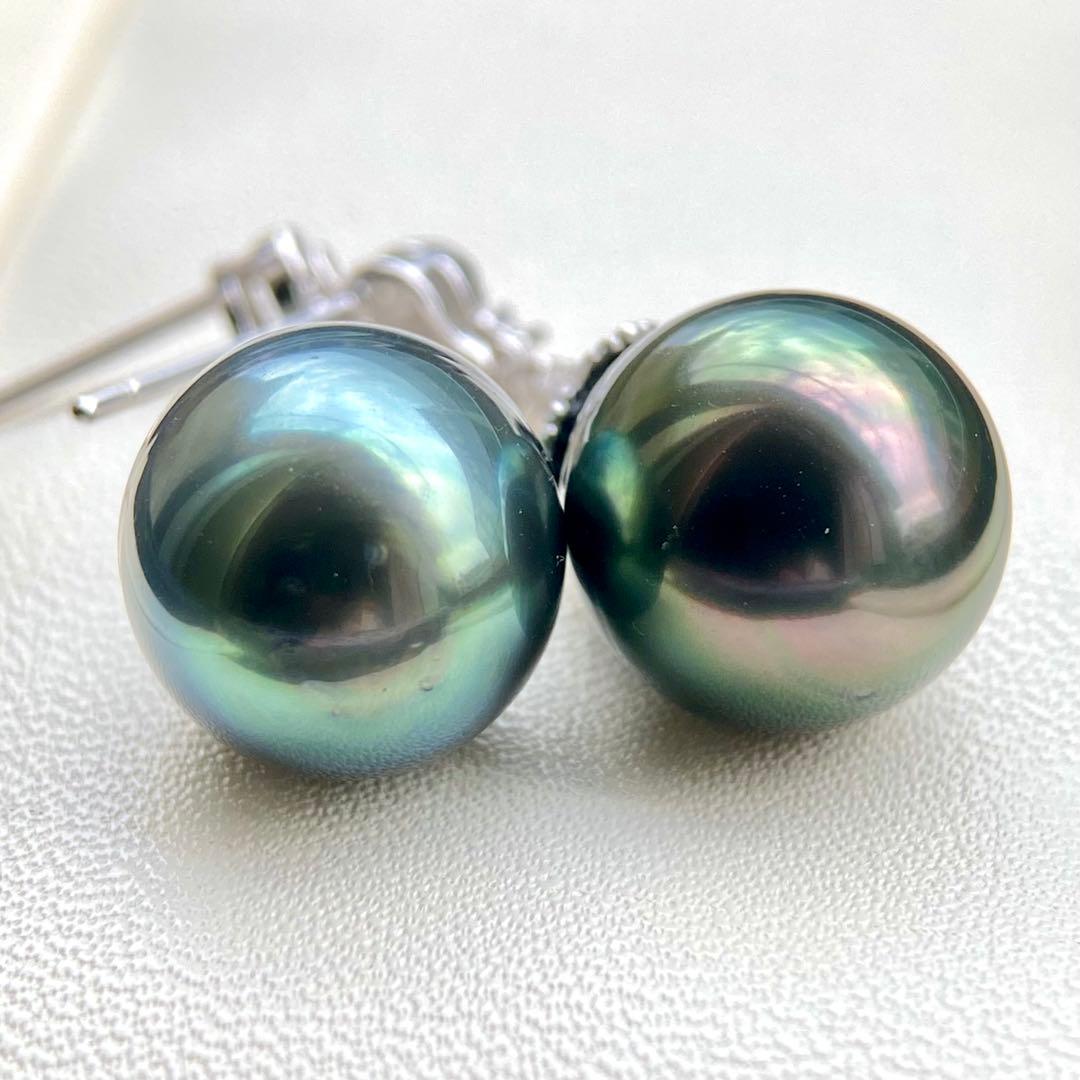 本真珠南洋黒蝶真珠グリーンブルー15×11.9㍉s925ピアスBL960