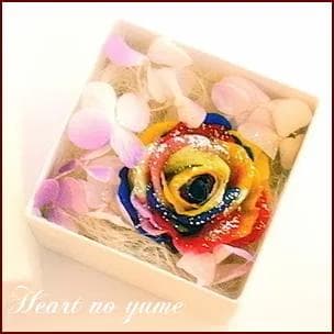 プリザーブドフラワーボックス　温度で色が変わるアジサイ＆レインボーローズ